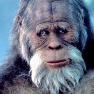 Meet your Posher, Jeff